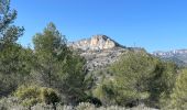 Randonnée Marche Mérindol - PF-Mérindol - Dessus de Mérindol par les Chemins de l'Apied et des Bouigues - Vallon des Porcs - CP - Photo 12