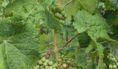 Trail Walking Brixen - Bressanone - Brixen - Archeopfad - Photo 4