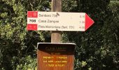 Randonnée A pied Adrano - Passo Zingaro - Sentiero 708 - Photo 6