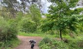 Trail Walking Étaples - Étaples - La forestière  - Photo 4