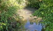 Trail Walking Reugny - Reugny - Vignes et Brenne - Photo 1