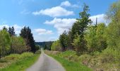 Trail Walking Waimes - petit tour en Brackvenn  - Photo 16