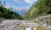 Trail On foot Auronzo di Cadore - IT-123 - Photo 3