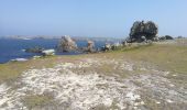Randonnée Marche Ouessant - Lampaul - tour nord d'Ouessant - Photo 8
