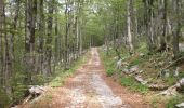 Excursión A pie Unknown - Nacionalni park Sjeverni Velebit II - Rožanski kukovi - Photo 3