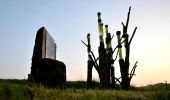 Randonnée Vélo de route Ciney - Sentiers d'art à vélo  - Photo 20