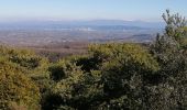 Tour Wandern Saint-Laurent-de-Carnols - la chartreuse de valbonne - Photo 5