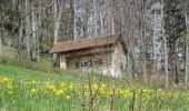 Randonnée A pied Hauenstein-Ifenthal - Challhöchi - Ober Belchen - Photo 1