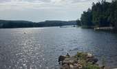 Trail Horseback riding Montsauche-les-Settons - Lac settons 2ème jour - Photo 2