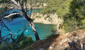 Tour Wandern Bandol - bandol calanque D'Alon - Photo 1