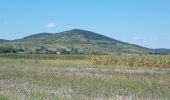 Tour Zu Fuß Patak am Bodrog - Hegyalja - Malomkő Tanösvény - Photo 5