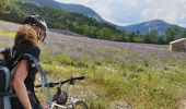 Tocht Mountainbike Thorame-Basse - Col de Seoune Lambruisse - Photo 9