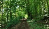 Trail Walking Braine-le-Comte - Promenade des canaux de Ronquières - Photo 1