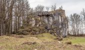 Tocht Te voet Bad Staffelstein - Bittmannstein Rundweg (Bad Staffelstein) - Photo 10