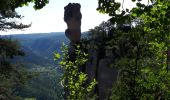 Tocht Stappen Le Rozier - gorge de la JONTE - Photo 4