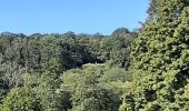 Trail Walking Thuin - Thuin T.C. - Photo 1