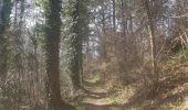 Trail Walking Esneux - parc du Mary.  rond bâti . anc carrière.  arboretum . parc du mary  - Photo 17