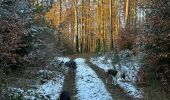 Randonnée Marche Neufchâteau - Hosseuse 4,2 km  - Photo 5