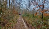 Trail Walking Marche-en-Famenne - Marche Adeps à Waha - Marche-en-Famenne - Photo 8