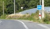 Tour Zu Fuß Thurins - Circuit de la Ronde des Vergers - Photo 1