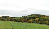 Trail Walking Voeren - Fouron-le-Comte (Balade 4) - Photo 2