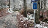 Tocht Stappen Stavelot - SityTrail - Extratrail_stavelot_13km_new - Photo 2