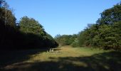 Trail On foot Wassenaar - Strandroute - Photo 10
