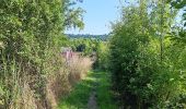 Percorso Marcia Villers-le-Bouillet - gotroul . merexhe . doyard . champia . antheit . gotroul - Photo 5
