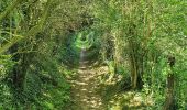 Trail Walking Esneux - Autour de Ham par les deux Gués - Photo 8