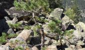 Excursión Senderismo Cauterets - Le lac de Gaube - Photo 3