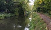 Tocht Stappen Woking - Ballade le long du canal - Photo 8