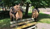 Trail Horseback riding Miannay - Miannay-Tours-Acheux - Photo 1