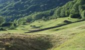 Trail On foot Bregaglia - Sentiero Panoramico - Photo 6