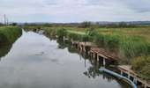 Tour Mountainbike Port-la-Nouvelle - Boucle de Bages d Aude  - Photo 5