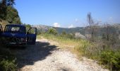 Percorso A piedi Norma - Selva di Cori- Monte Lupone - Photo 1