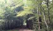 Tour Wandern Ervy-le-Châtel - ERVY LE CHATEL, au départ de la halle - Photo 14