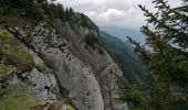 Tocht Stappen Autrans-Méaudre en Vercors - bec d'orient 2020 - Photo 1