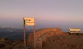 Excursión Senderismo Estepona - El pico de los reales - Photo 1