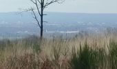 Randonnée Marche Champfrémont - Boucle de Multonne - Photo 8