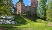 Randonnée Marche Barr - boucle hotzplatz-birkenflet-landsberg-holtzplatz - Photo 2