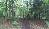 Tour Wandern Lüttich - montee par stvlaurent descente par st jacque Streupas.  variante tout bois  - Photo 15