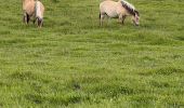 Tour Wandern Cayeux-sur-Mer - Réserve naturelle du Hable de Aulte  - Photo 3