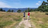Trail Walking Hohrod - Circuit historique 1914-1918 Hohrodberg - Linge - Photo 19