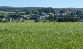 Randonnée Marche Libramont-Chevigny - Bras - Photo 1