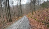 Trail Walking Rochefort - Han sur Lesse 21,4. Km - Photo 9