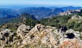 Trail Walking Rosazia - Monte Cervellu - Photo 6