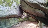 Tocht Stappen Fontainebleau - Fontainebleau sentier Denecourt 7-8 8-8 - Photo 17