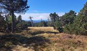 Excursión Senderismo Vialas - Le mas de la barque  - Photo 9