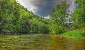 Trail On foot Saint-Brais - Tariche - Pont de Ravines - Photo 1