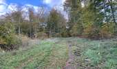 Randonnée Marche Saint-Jean-aux-Bois - 53_10_2025_autour des Grands Monts - Photo 7